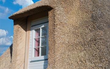 Cemaes thatch roof disadvantages